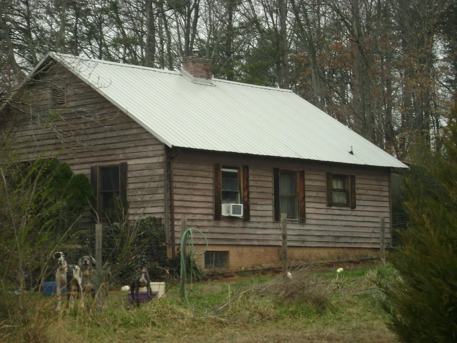 White metal roof on an old wood sided farmhouse, from a Asphalt Shingle Roof Repair job in El Cerrito